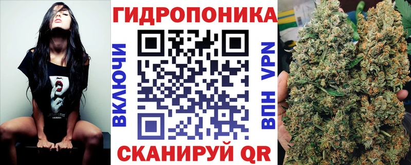 Купить наркоту Ладушкин ЭКСТАЗИ  Меф мяу мяу  Гашиш  СОЛЬ  АМФ 