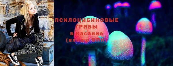 шишки Алексеевка